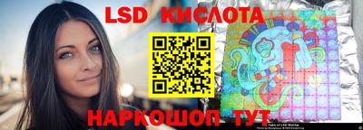 spice Камышлов