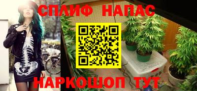 a pvp Кандалакша